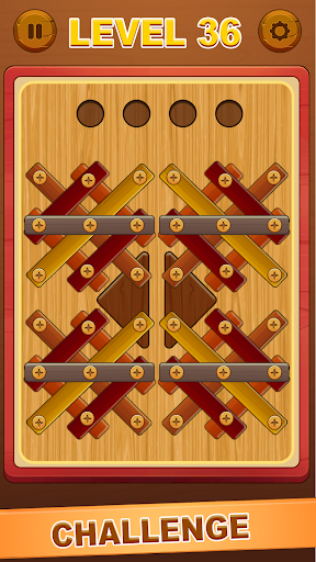 Wood Nuts  Screw Puzzle