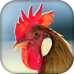 Real Animal sounds