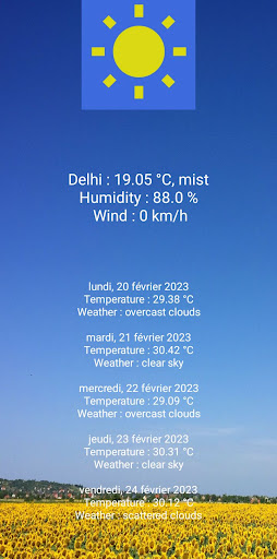 Weather Delhi India Screen 2