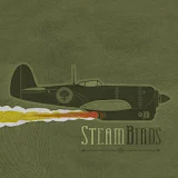 Steambirds icon