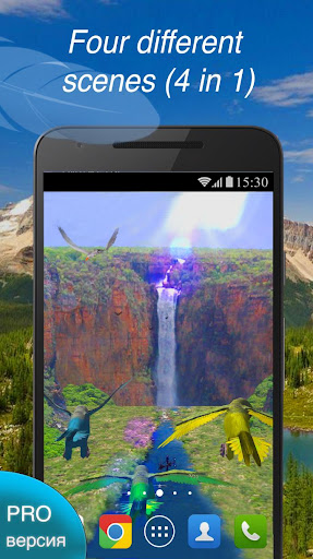 Parrots 3D Live Wallpaper Love Screen 2