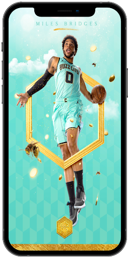 Charlotte Hornets Wallpapers Screen 3