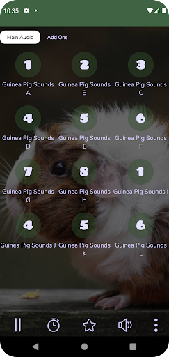 Android application Guinea Pig Sounds 24 Hours screenshort