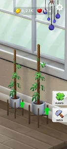 Plantscapes - Grow & Decorate!