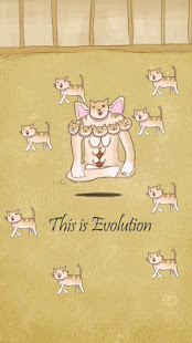 Cat Evolution Party