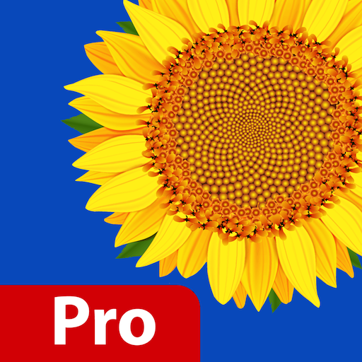 Gallery Pro Hide Photo Video logo
