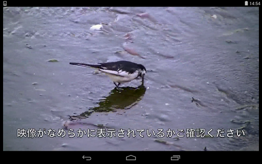 Android application モバイルTV(StationTV)動作確認ツール screenshort