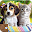 Cats & Dogs Jigsaw Puzzles APK icon