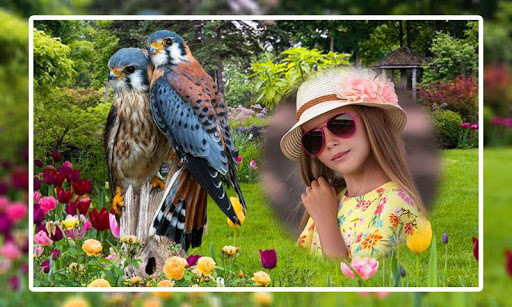 Birds Photo Frames Screen 2