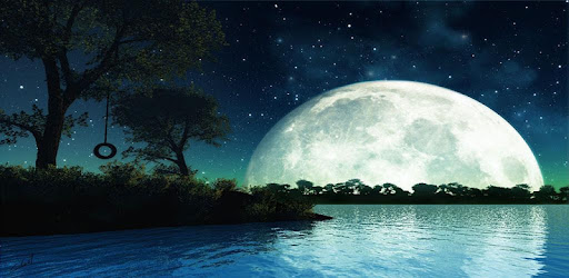 moonlight