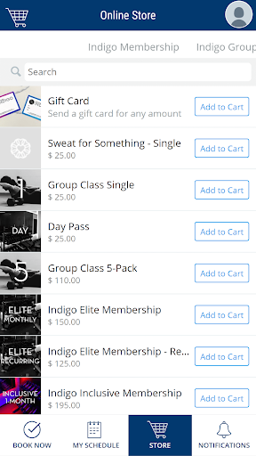 Indigo Fitness Screen 3