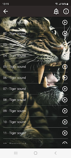 Tiger Sounds - Apps on Google Play