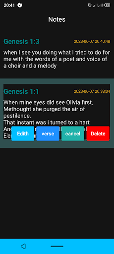 Offline English Bible Screen 2