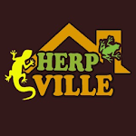 Cover Image of Baixar HerpVille - Reptile Keep & Tra  APK