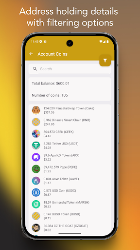 Binance Smart Chain Explorer screenshot 2