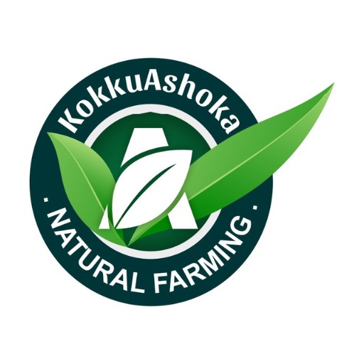 ashokanaturals logo