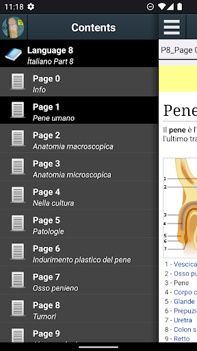 Anteprima dell'app