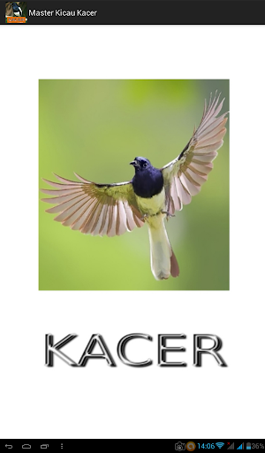 Android application Master Kicau Kacer screenshort