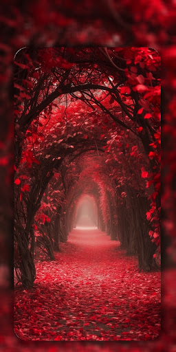 Autumn Wallpaper in 4K & HD Screen 3
