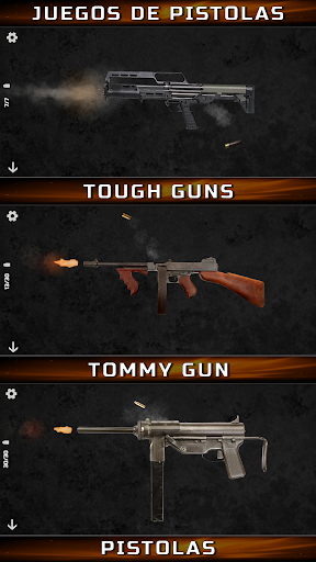 Vista previa de la aplicación