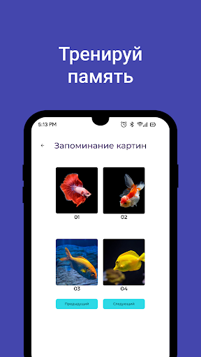 Memory Screen 3