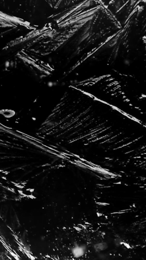 Winter Video Wallpapers