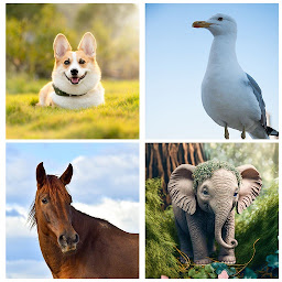 Icon image Guess The Animal Challenge