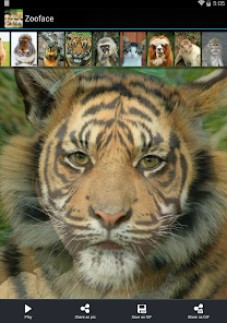 Zooface - 동물 얼굴 움짤 만들기 - Google Play 앱