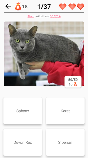 Cat Breeds Quiz - Game about C Screen 3