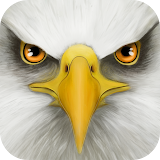 Ultimate Bird Simulator icon