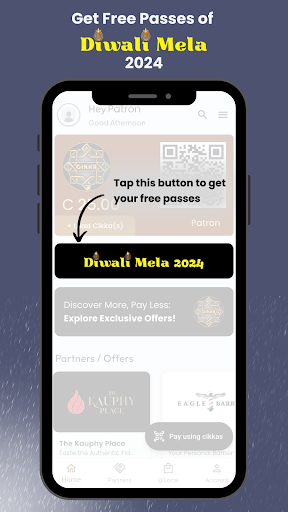 Global Desi Cikka Screen 2