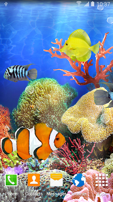 Coral Fish Live Wallpaperのおすすめ画像2