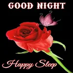 Cover Image of Download Good Night Flowers  APK