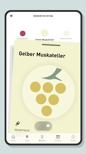 Deutsche Weine Screen 2
