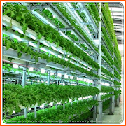 hydroponic gardening