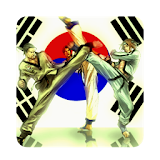 taekwondo wtf icon