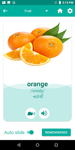 Gujarati English Translator Screen 3