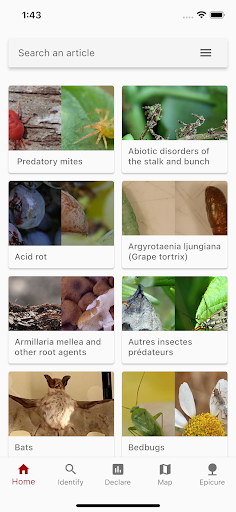 Android application Di@gnoPlant Vigne screenshort