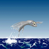 flying fish Live Wallpaper icon