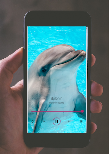 animal sounds list Screen 2
