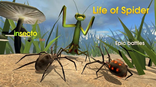 Life of Spider Apk 4