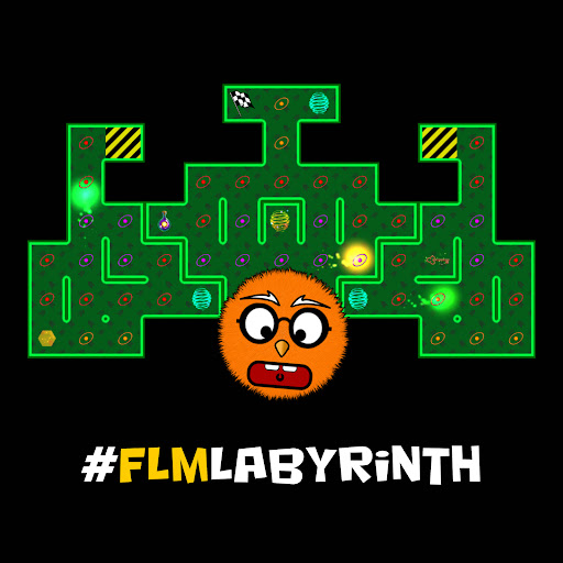 FLM Labyrinth Screen 2