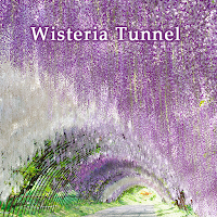 Wisteria Tunnel ＋HOME