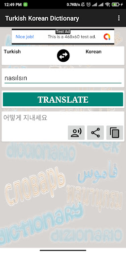 Turkish Korean Dictionary Screen 3