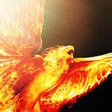 Fire Phoenix Keyboard icon