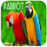 Parrot Sounds icon