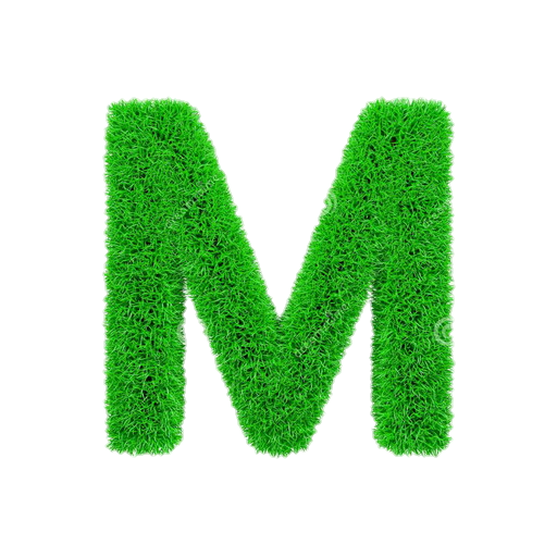 Fiat money logo