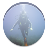 Dive Logbook icon