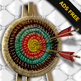 Archery Champion PRO: ADS FREE icon