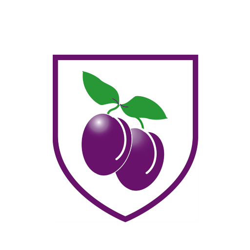 Plumcroft Primary School App logo